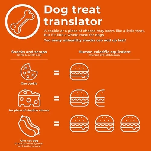 Take the weight off Infographic for dogs