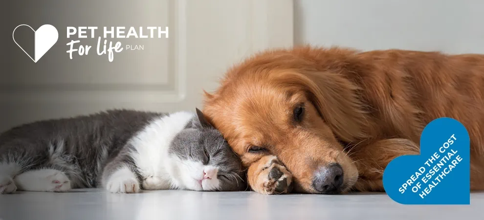 Pet Health for Life by End Cottage Vets